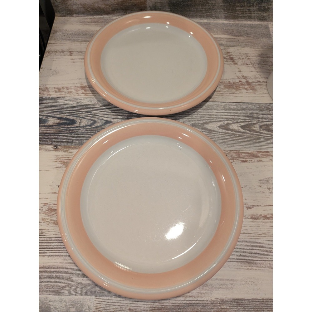 Hearthside Pastels Dinner Plate Set Of 2 Pink White 10.5 Inch Made In Japan
